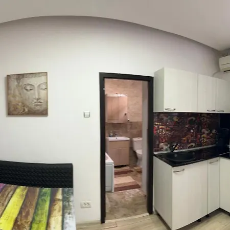 Casa Victoria Studio Apartament Bucureşti